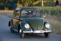 VW K&auml;fer 1200, 1954, 30PS_2_1